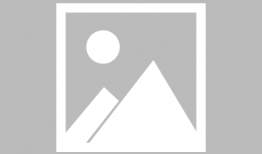 雨伞漫画,漫画中的生活智慧