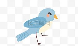 小鸟漫画,趣味横生的日常趣事